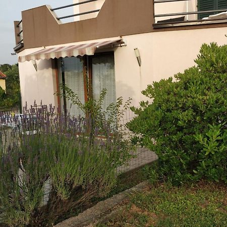 זאדאר Apartment Lavinia מראה חיצוני תמונה