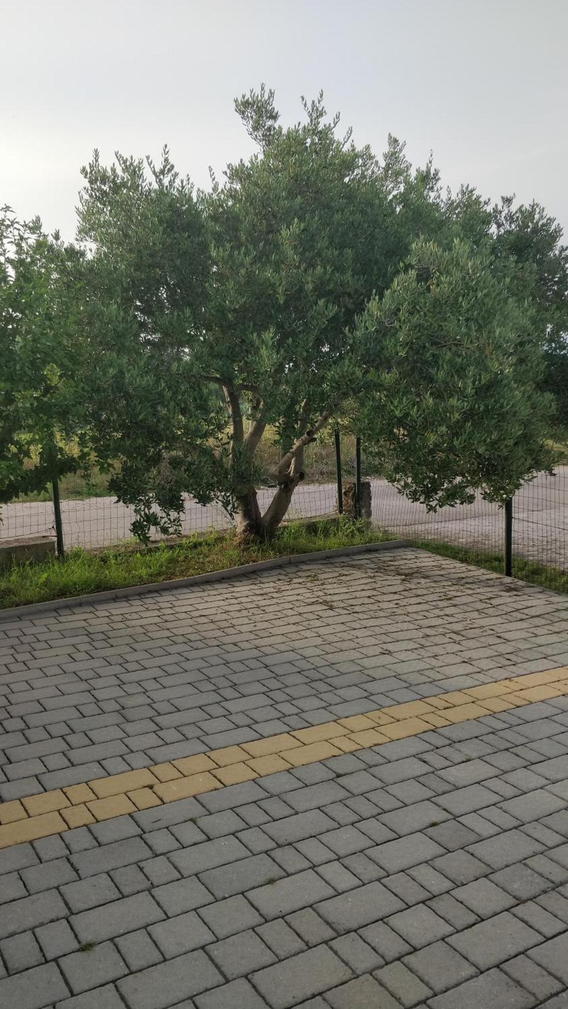 זאדאר Apartment Lavinia מראה חיצוני תמונה